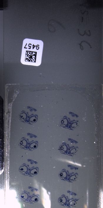 Media type: image; Special Collections 3102   shows specimen_part histological serial section;  Description: Whole slide scan, SC-3102, slide 6;